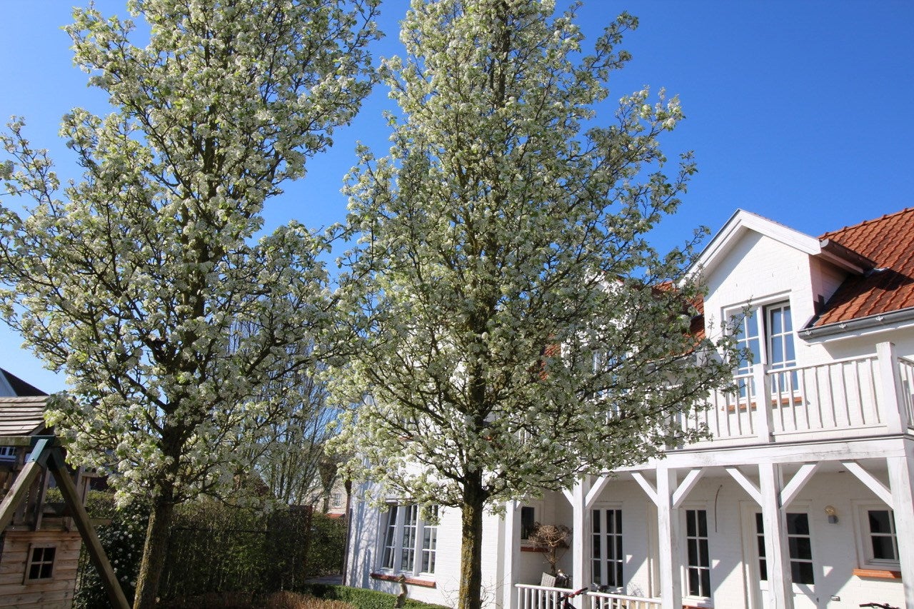 Huis Groenevelt 12 in Sluis
