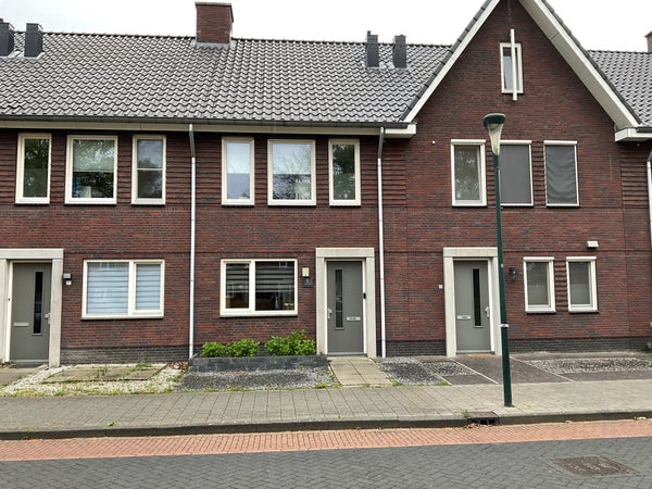 Steenbok 15