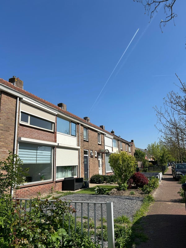 Wilgenplantsoen