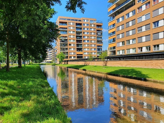 Te huur: Appartement Theseusstraat in Rotterdam