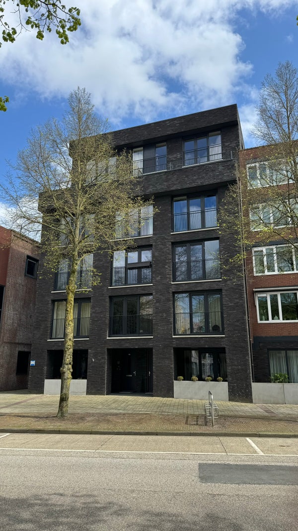 Piso Wilhelminastraat en Emmen