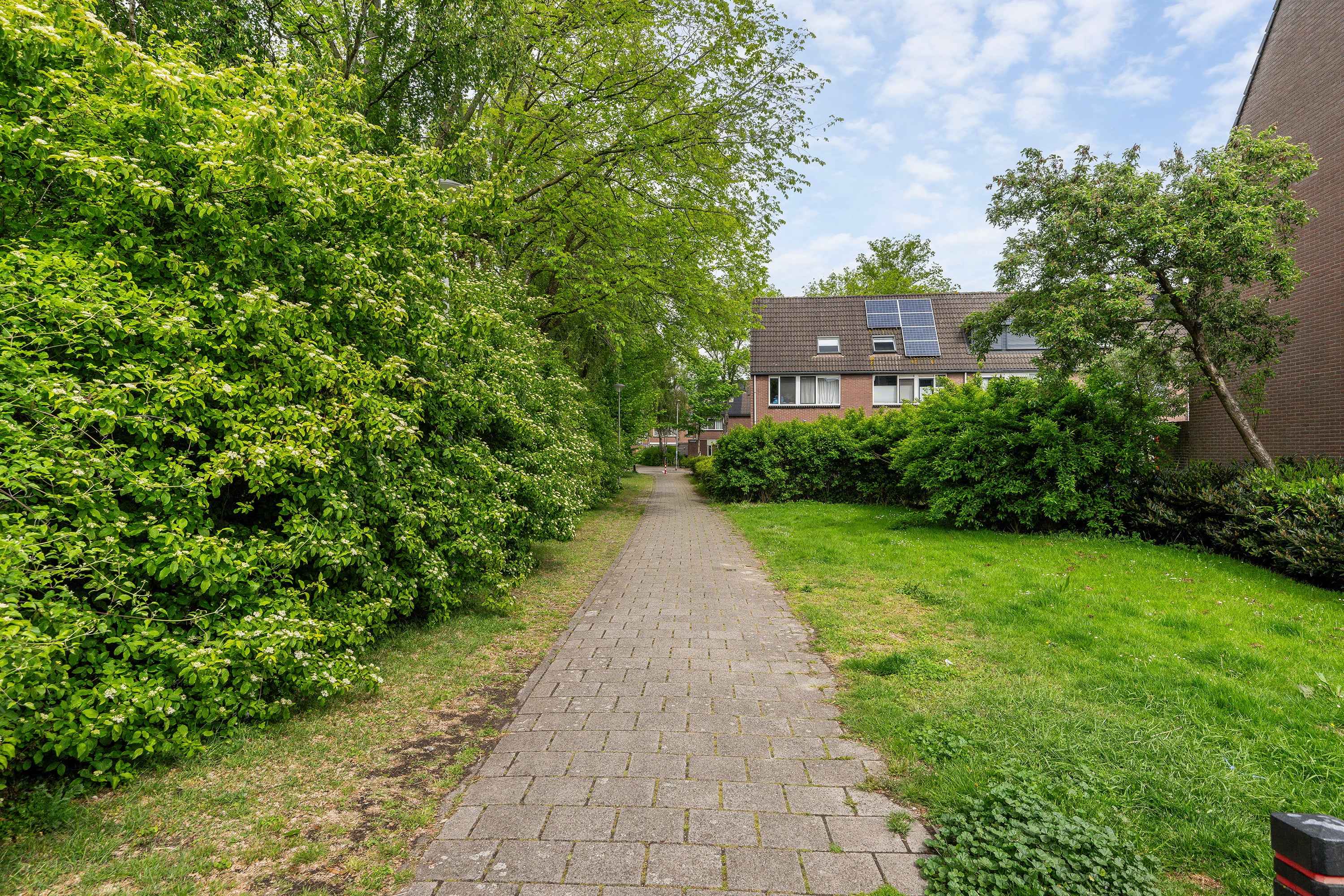 Tussenwoning te koop: Frenkelpad 18, Schiedam