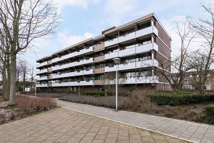 Te huur: Appartement Graaf Adolfstraat 17 in Eindhoven