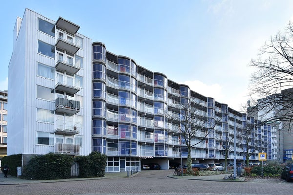 Appartement Papegaaistraat in Rotterdam