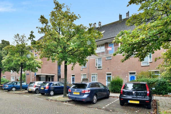 Wethouder Insingerstraat
