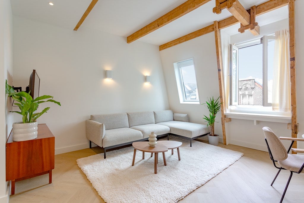 Flat Tweede Jan Steenstraat 48 4