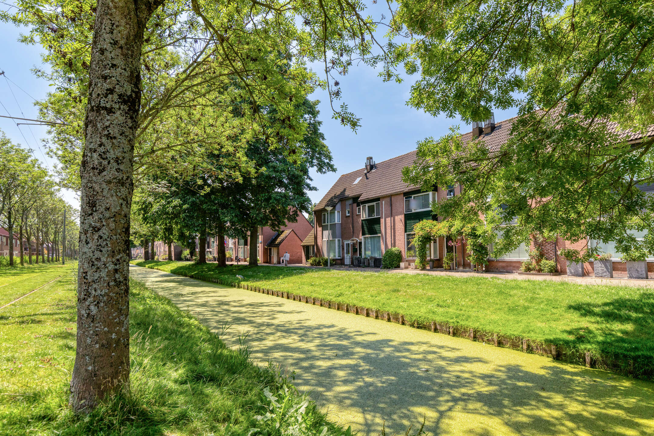 Huis Rhijnauwensingel 459 in Rotterdam