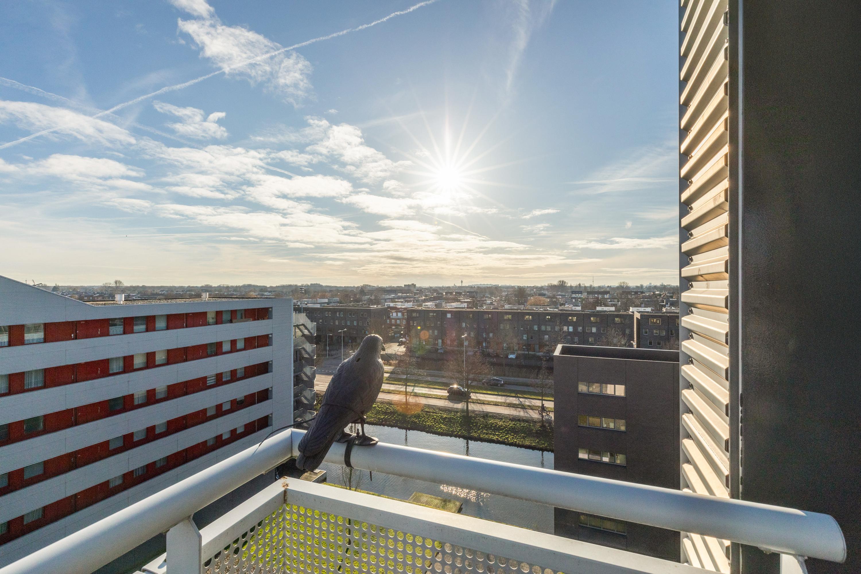 Appartement te koop: Ladogameerhof 175, Amsterdam