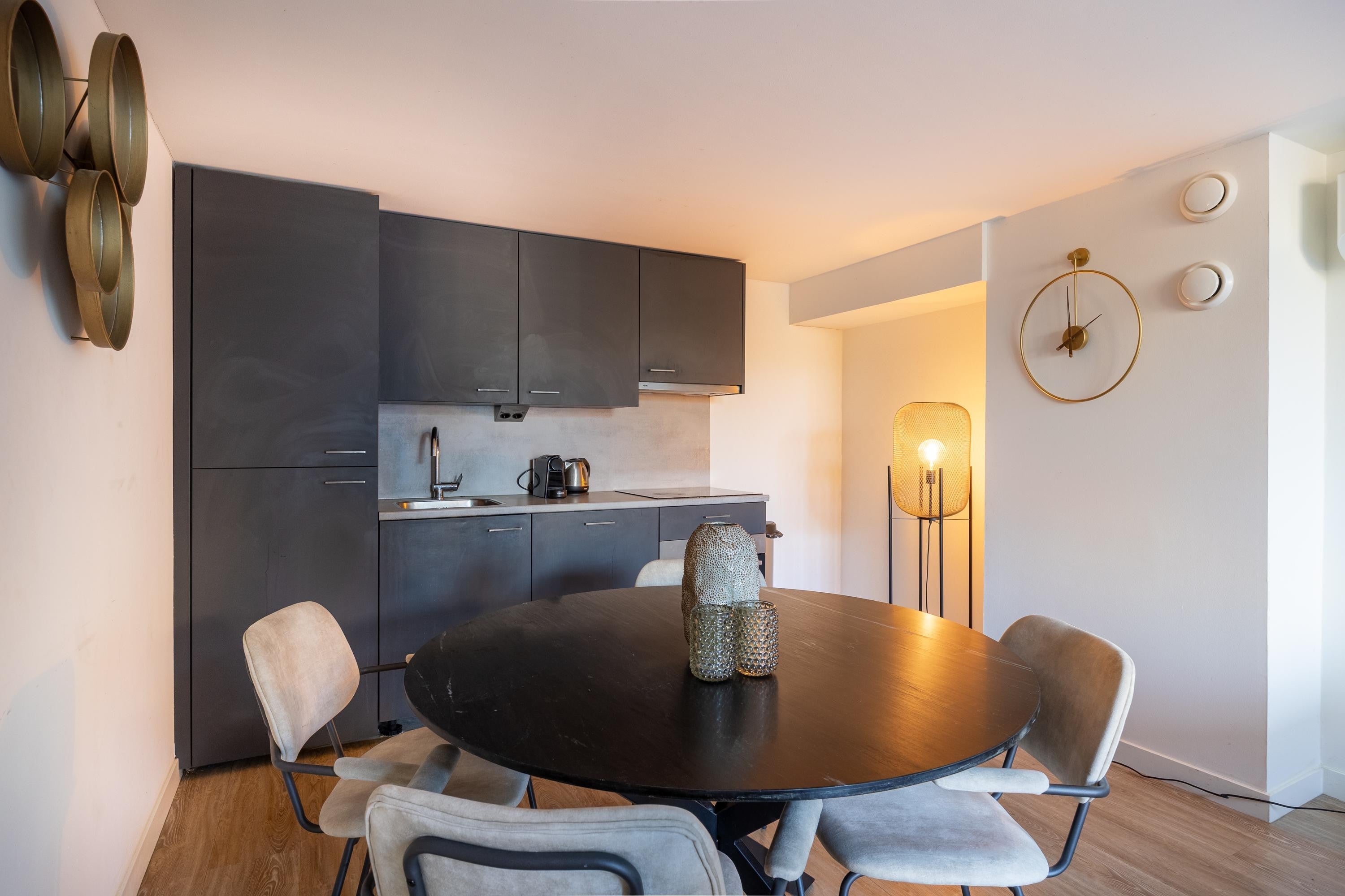 Te huur Appartement Anton Geesinkstraat 13 B in Utrecht