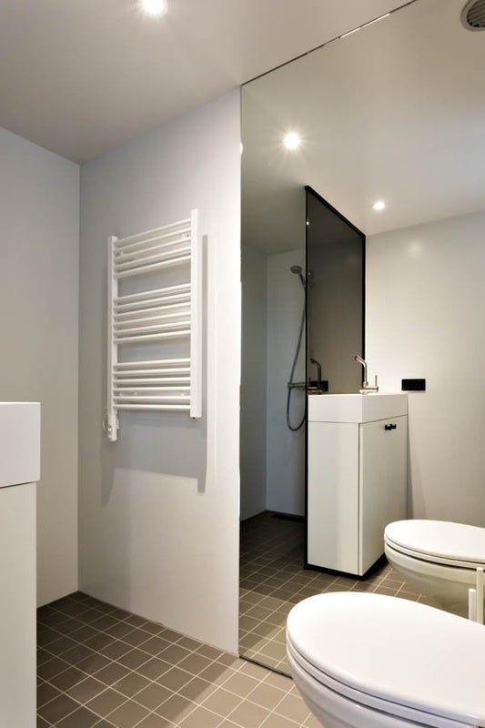 Te huur Appartement Professor Pieter Willemsstraat in Maastricht