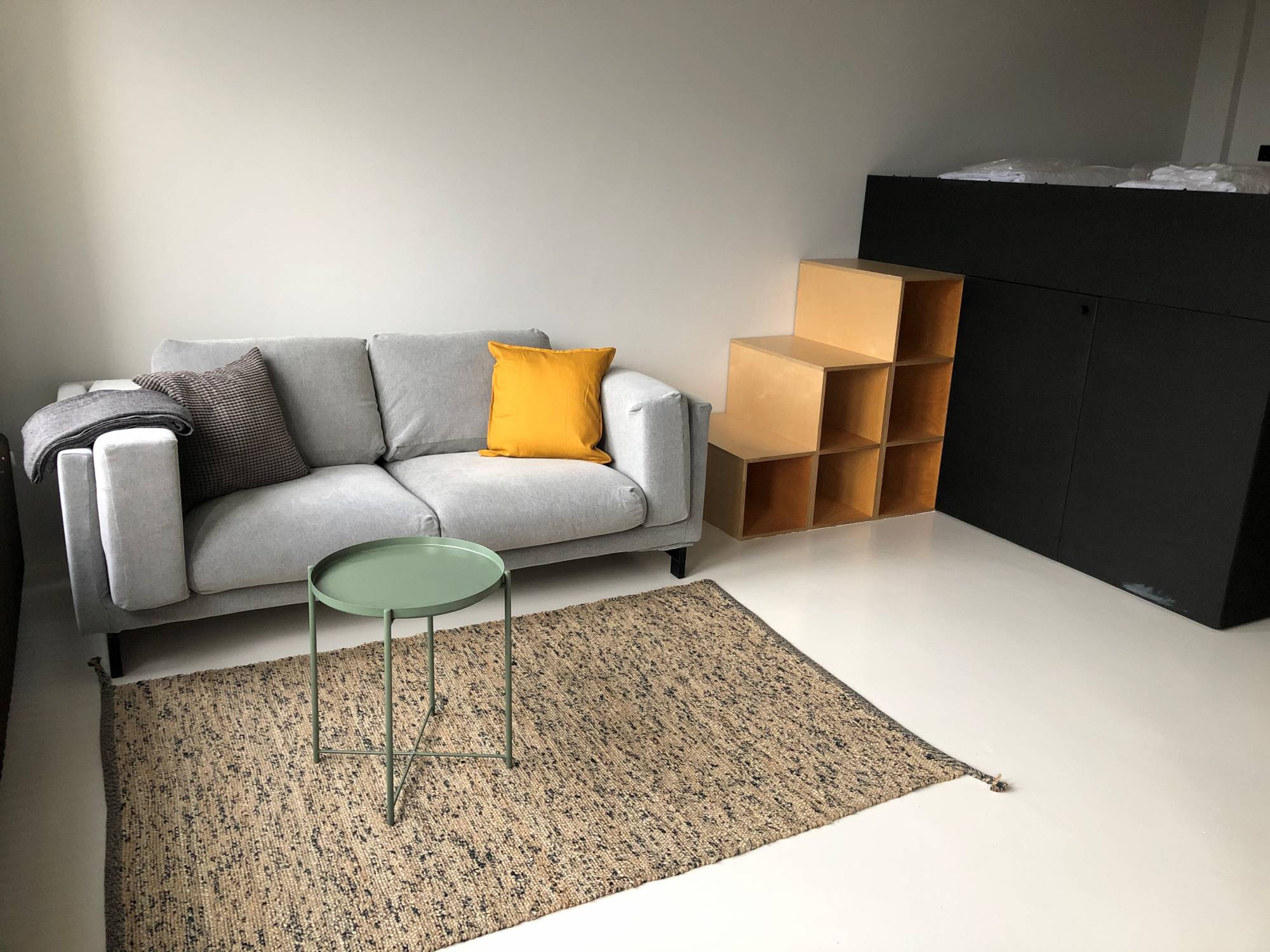 Te huur Appartement Professor Pieter Willemsstraat in Maastricht
