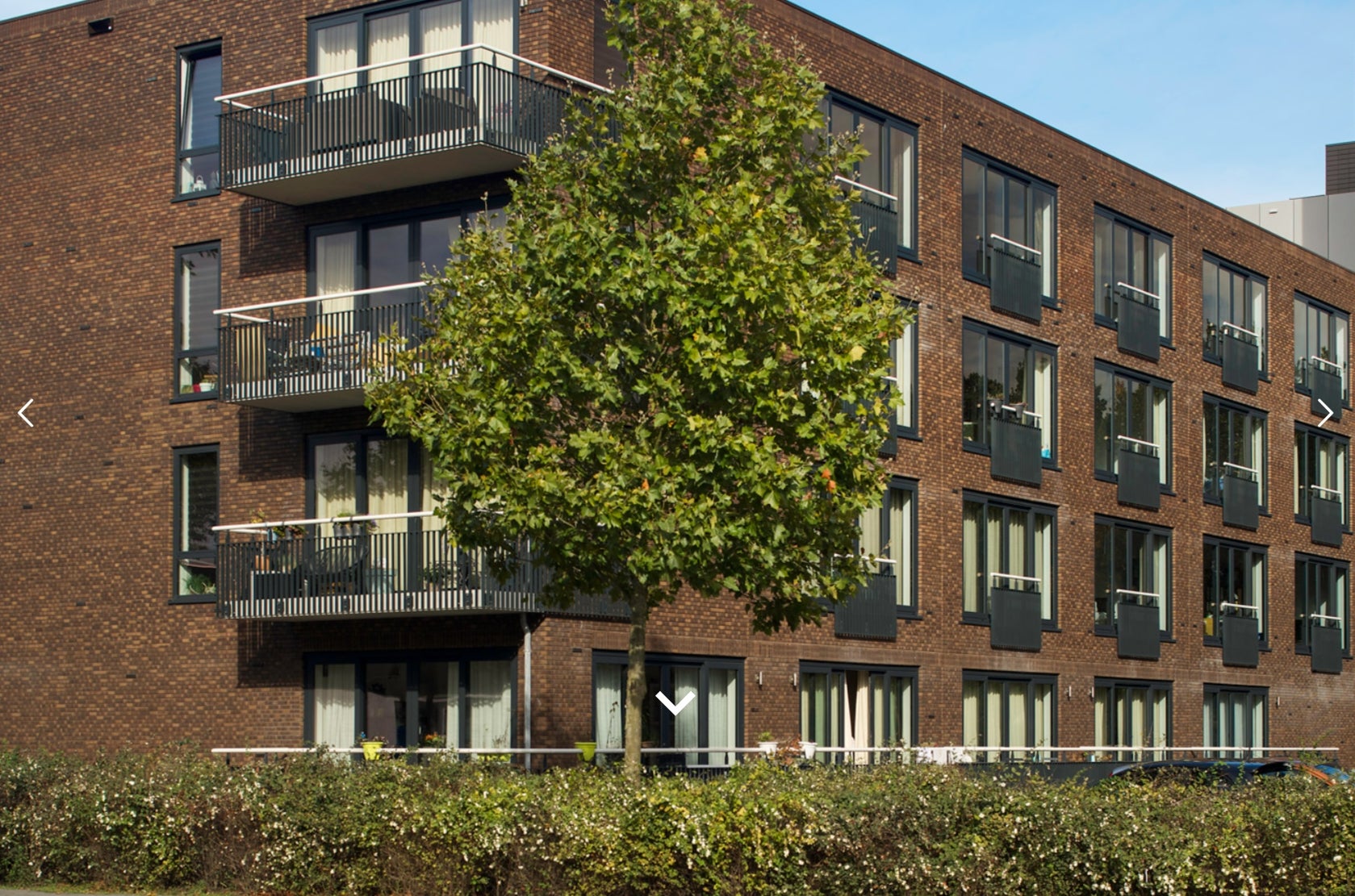 Flat Pisanostraat
