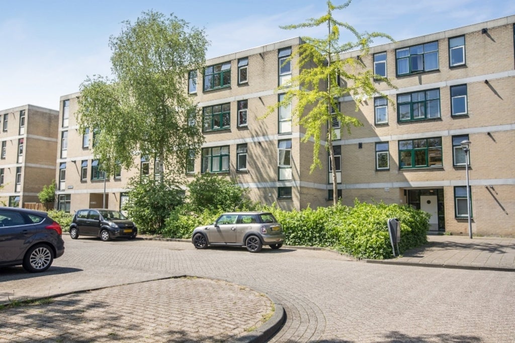 Flat Narcisplantsoen