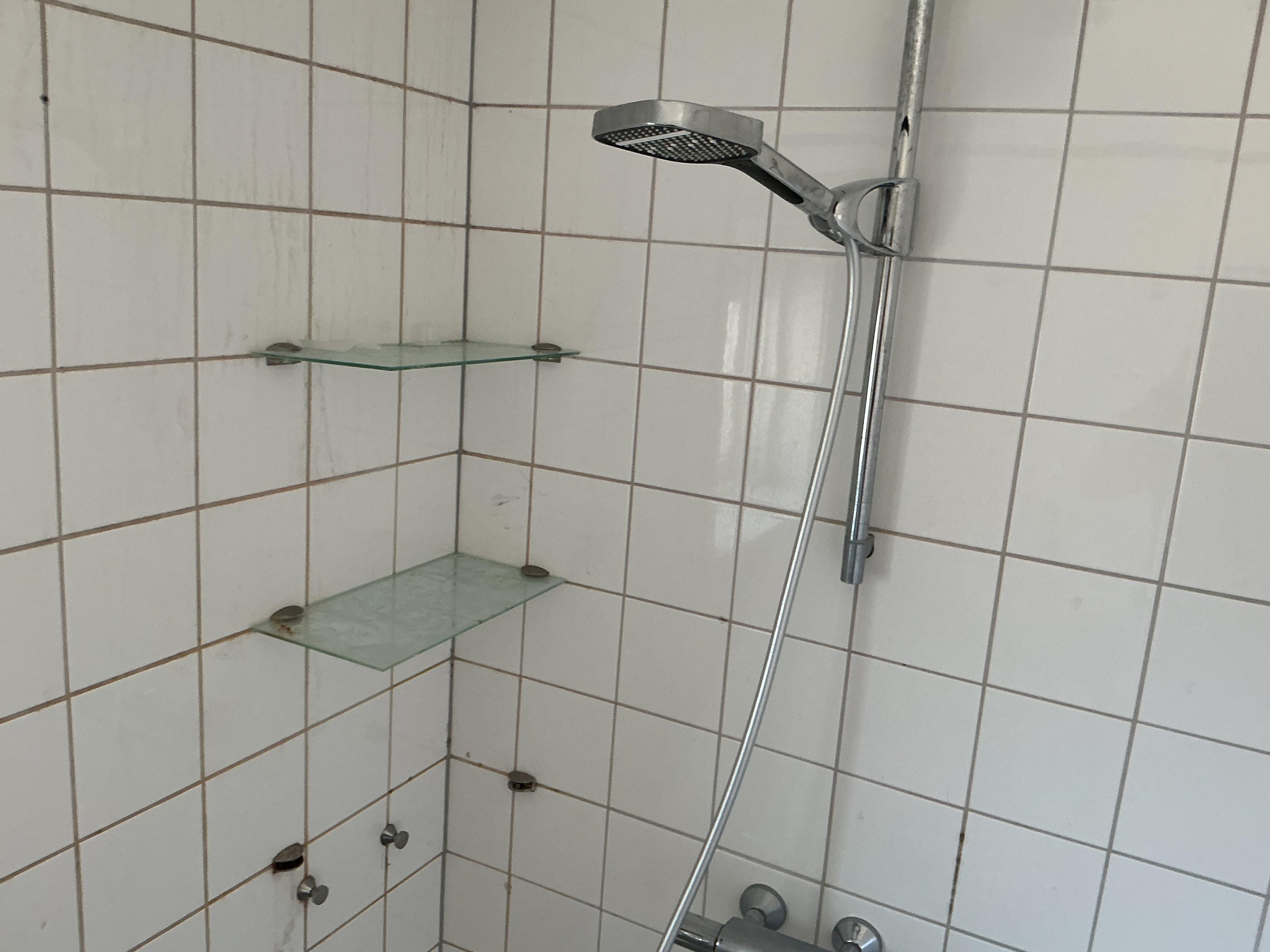 Woning te huur: Wilhelminalaan, Genemuiden