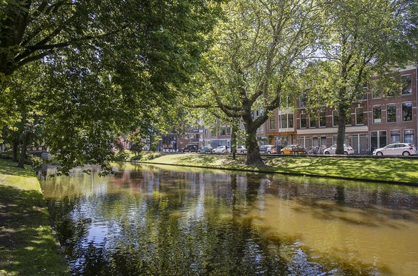 Te huur: Appartement Noordsingel in Rotterdam