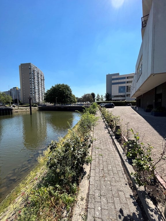 Kamer te huur: Oostmaaslaan, Rotterdam