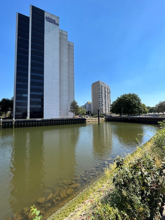 Kamer te huur: Oostmaaslaan, Rotterdam