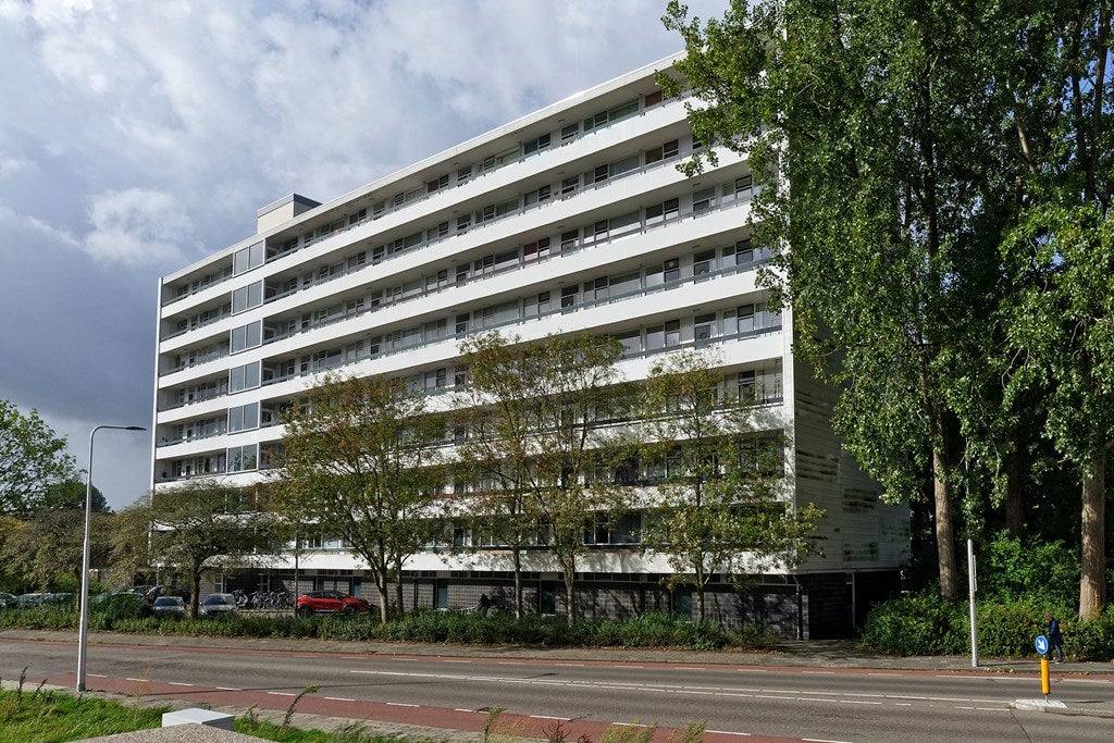Sint Philipsland 113