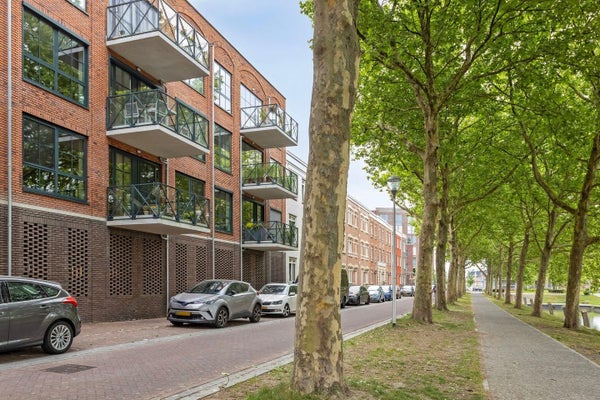 Wittoucksingel