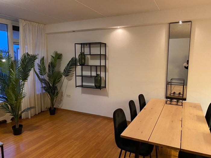 Te huur: Appartement De Sillestraat in Den Haag