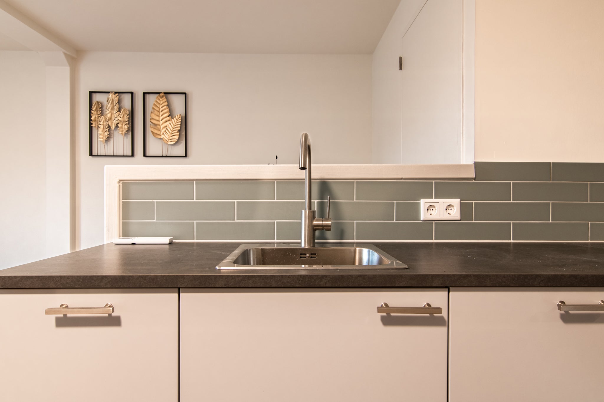 Woning te huur: Willem de Rijkestraat, Tilburg