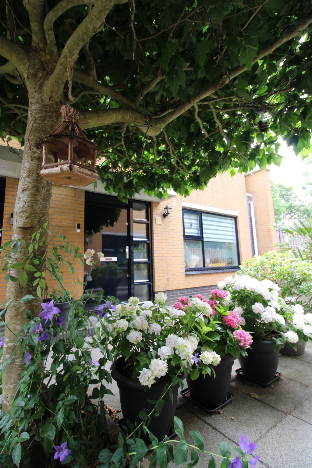 House Meistraat