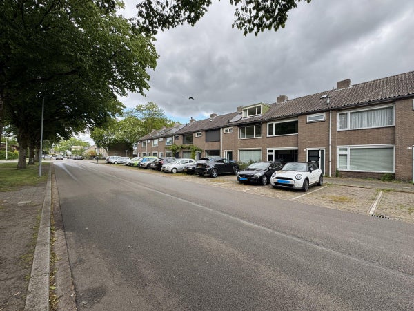 Viveslaan, Breda