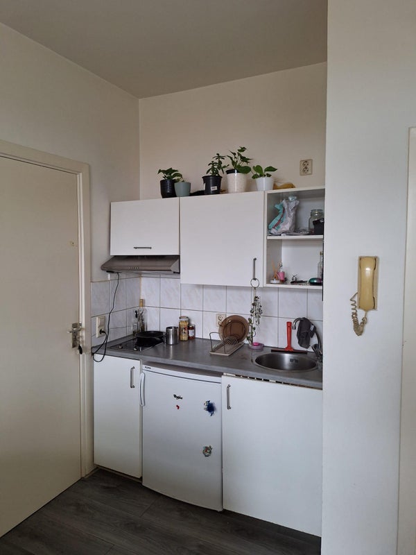 apartments for rent on Valkenboslaan