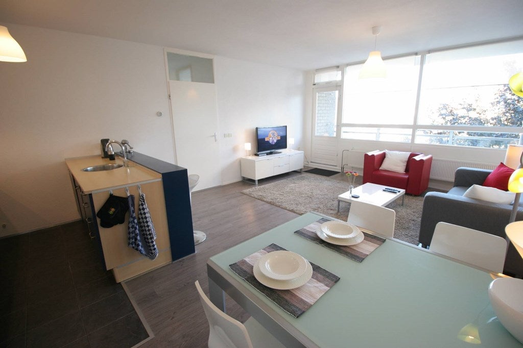 Te huur Appartement Madridplantsoen in Haarlem