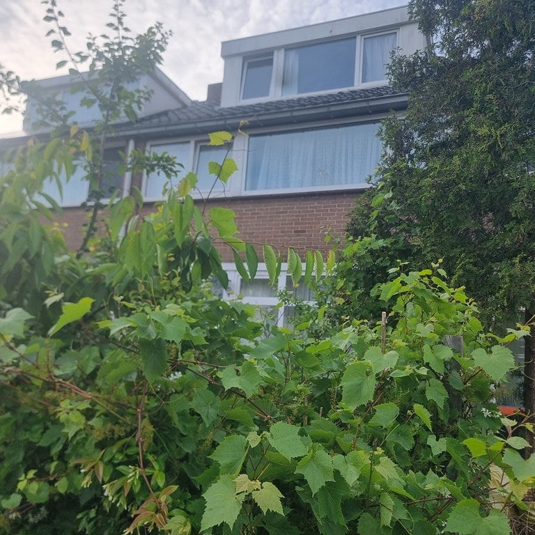 Kamer te huur: Van Deventerstraat, Haarlem