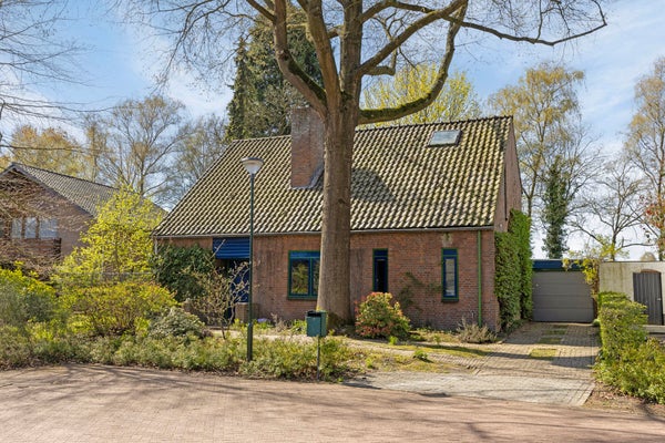 Sleedoorn 8
