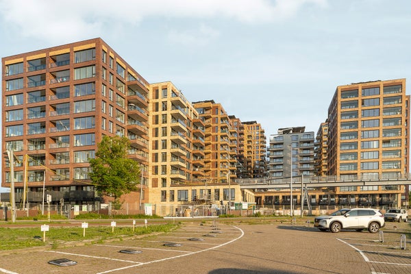 Mahoniehout