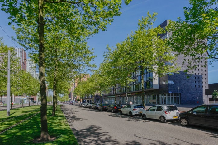 Te huur: Appartement Laan op Zuid in Rotterdam