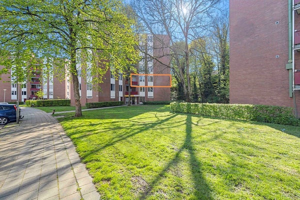 Berghofstraat 66