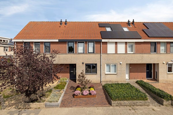 Grauwe Gans 62 in Bergen op Zoom
