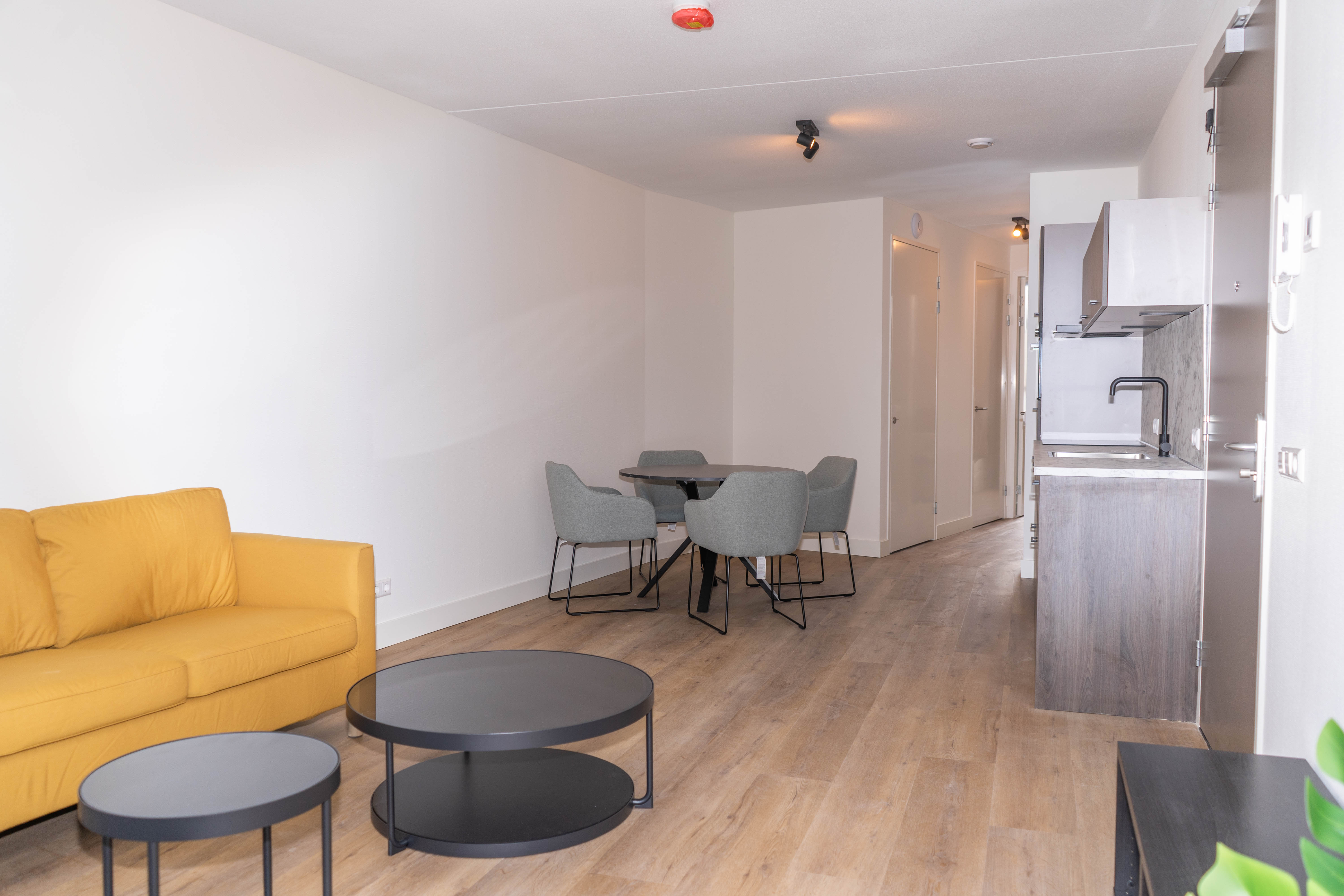 Flat Rosmolenplein
