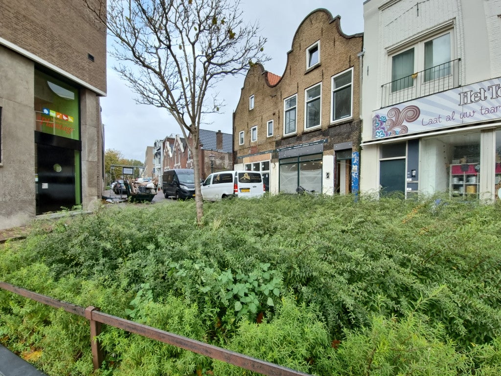 Woning te huur: Westvest, Schiedam
