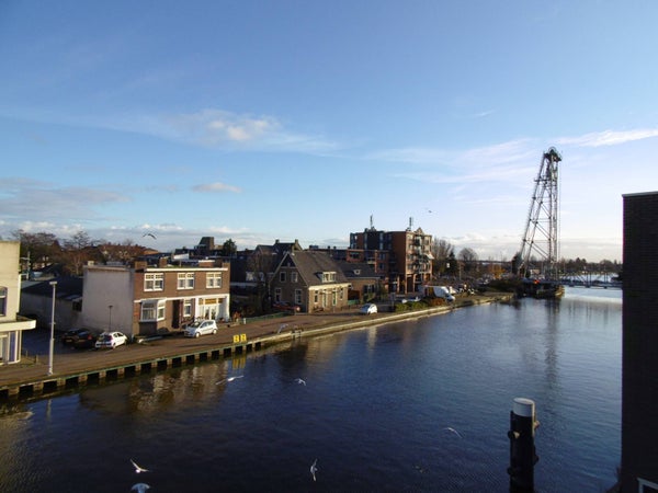 homes for rent on Burgemeester Colijnstraat