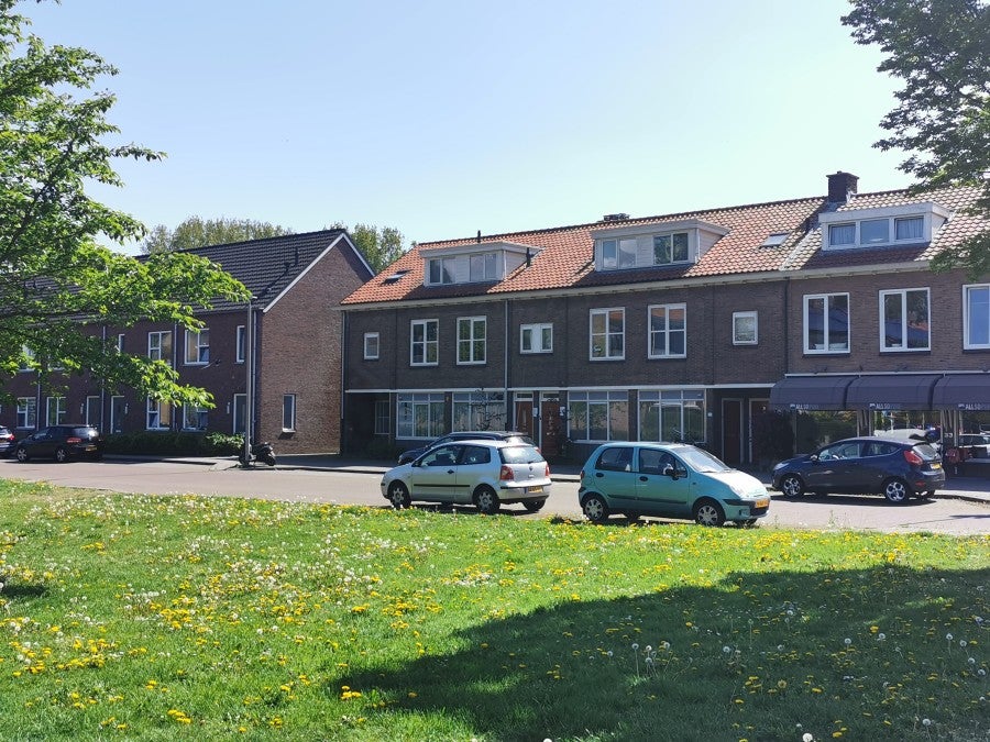 Flat Groene Weide