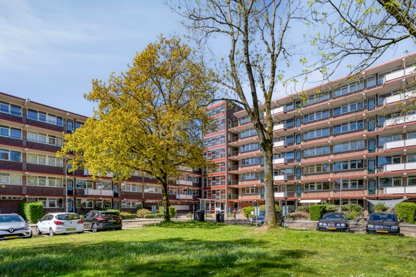 Appartement van der Scheerstraat 117 in Assen
