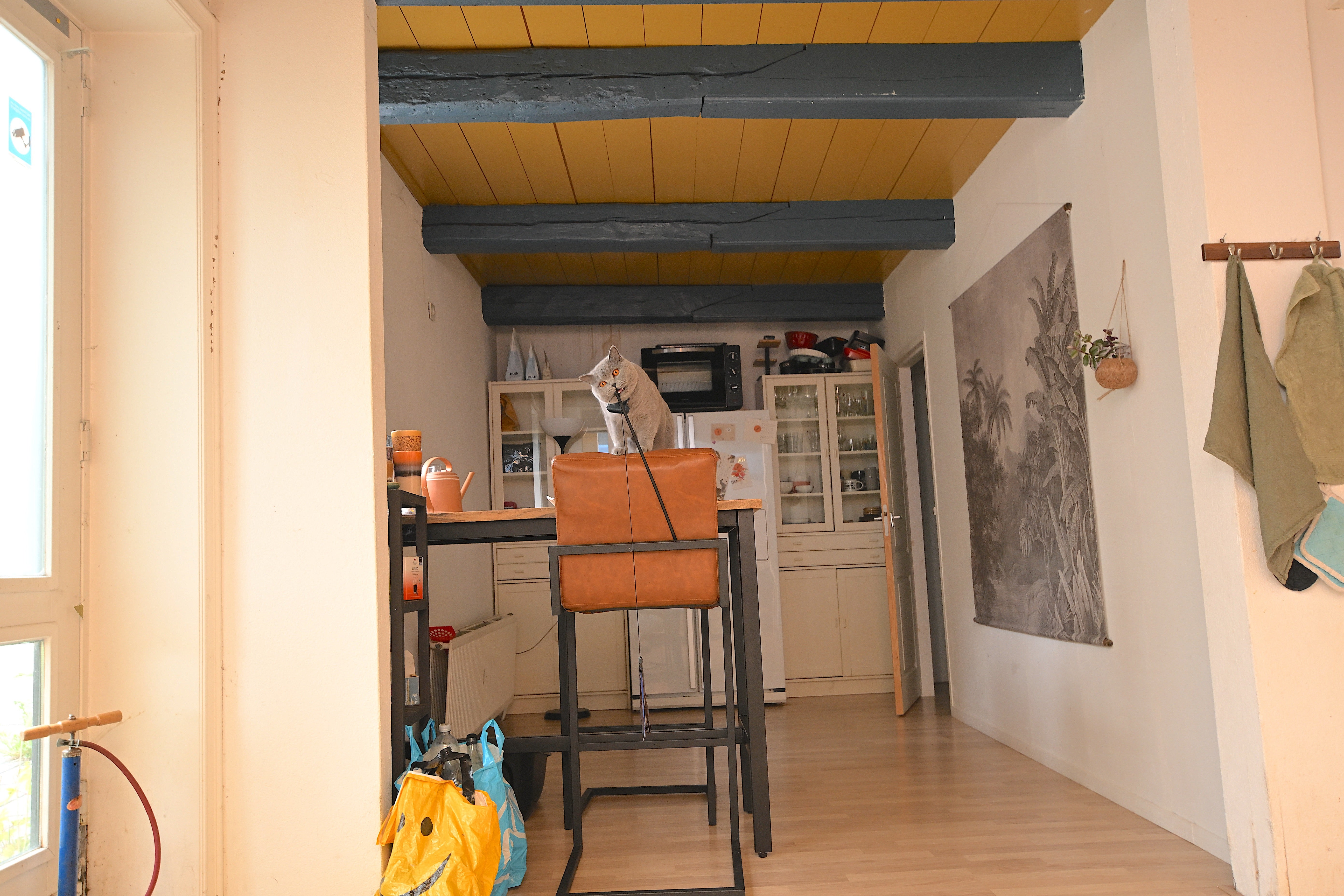 Appartement te huur: Timpweg 2, Groningen