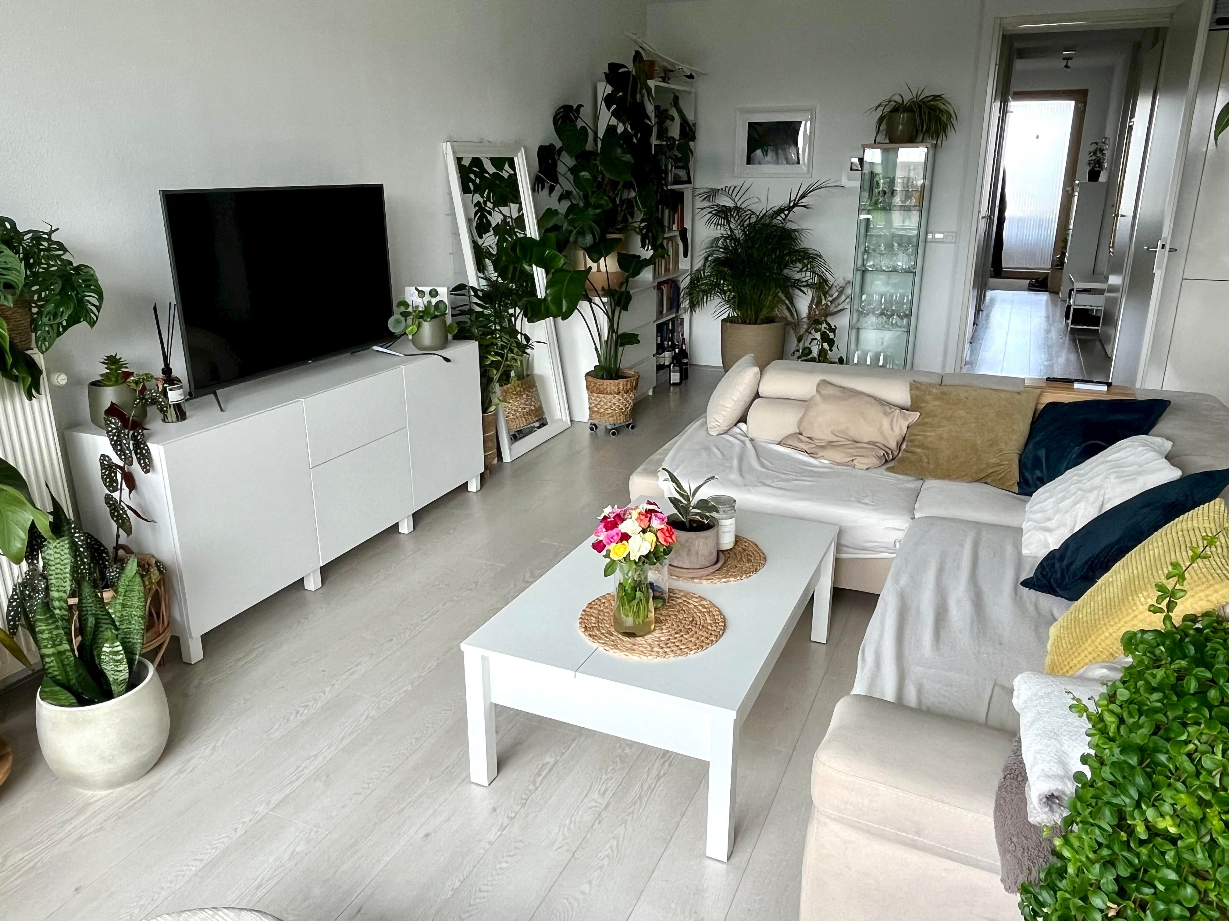 Flat Jan Evertsenstraat