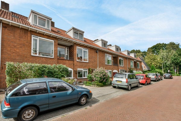 Berkenrodelaan