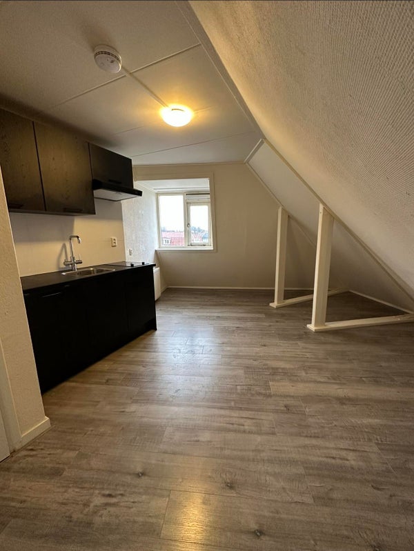 Appartement Krabbenbosweg in Hengelo