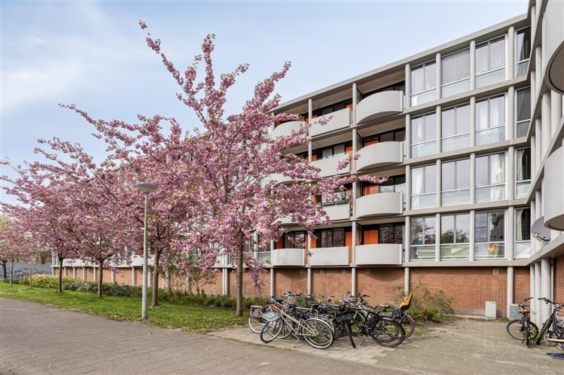 Het Laagt