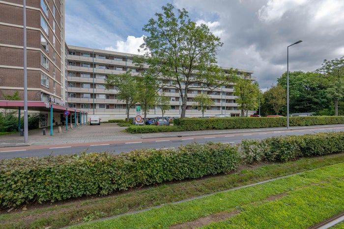 Wilgenplaslaan 348