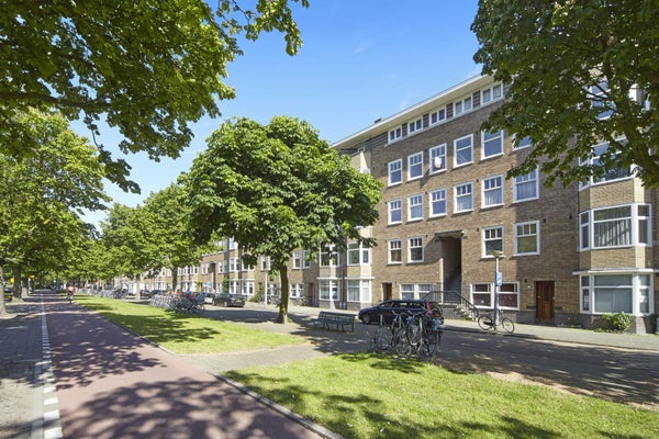 Flat Rooseveltlaan