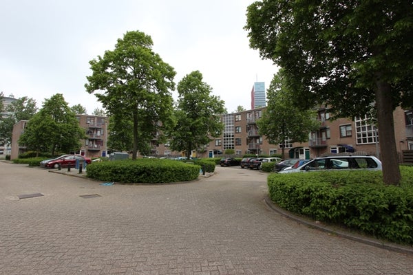 Te huur: Appartement Regentesseweg in Almere