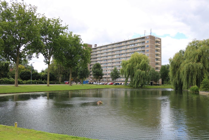 Te huur: Appartement Dumasstraat in Rotterdam