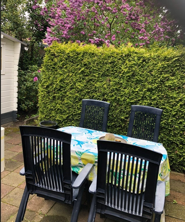 Woning te huur: Haagweg, Breda